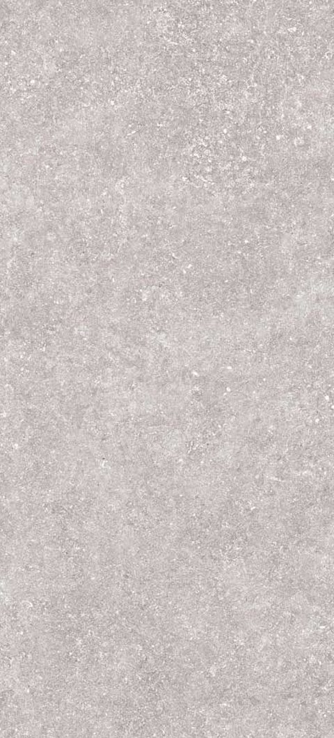 st033-face1