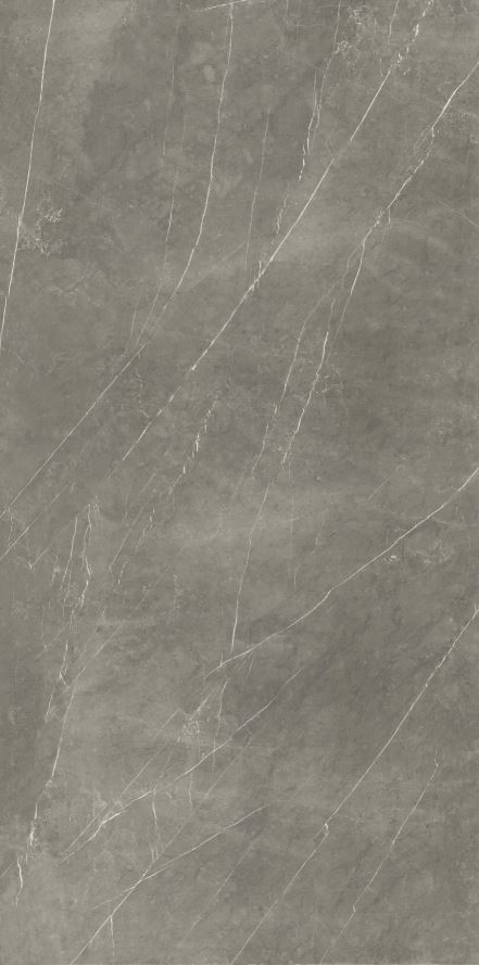 Pietra Grey FGPB-A5040 Full Polished