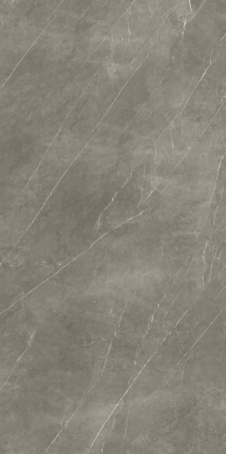 Pietra Grey FGPB-A5040 Full Polished