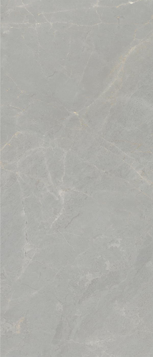 Splendor Grey 60x120