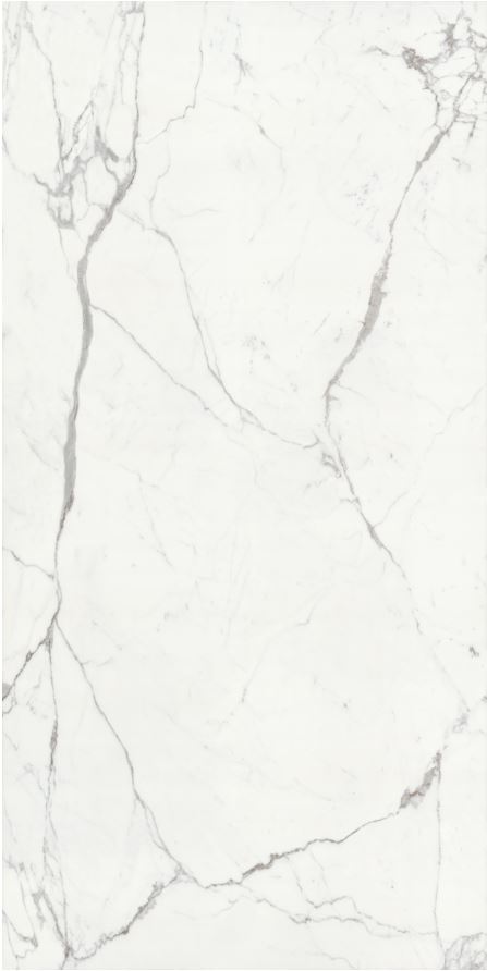 Statuario Venato FGPB-A5020