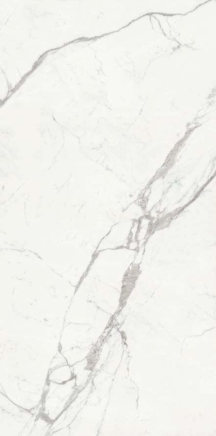 Statuario Venato FGPB-A5020