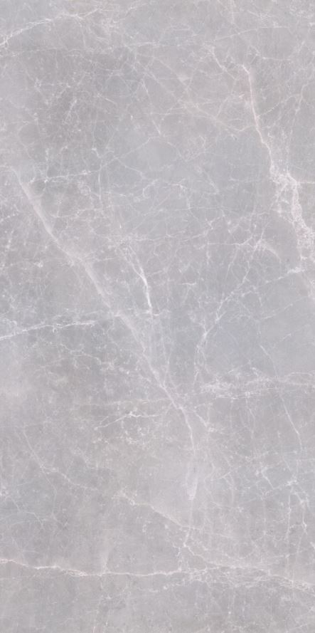 Tundra Light Grey FGPB-A5050 Full Polished