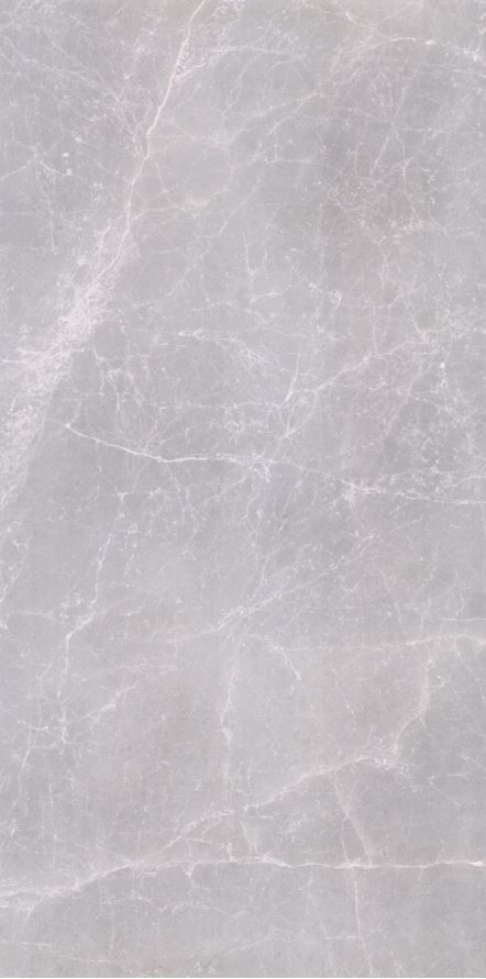 Tundra Light Grey FGPB-A5050 Full Polished