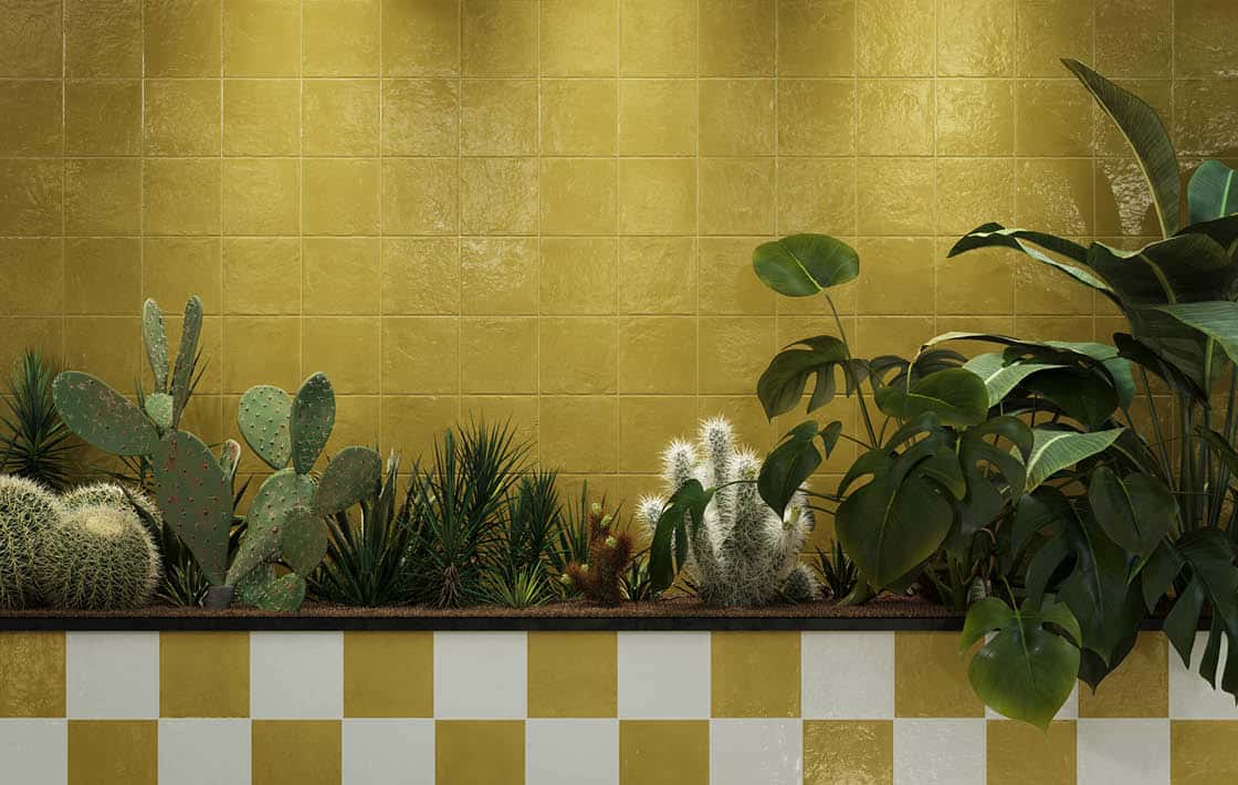 سروکوانتا فیجی cerocuarenta Fiji